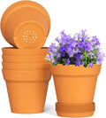 6 Inch Thick Plastic Plant Pots with Drainage Holes and Trays – 6 Pack Nursery Pots for Indoor & Outdoor House Plants, Seedling Starter Planters for Garden Flowers, Terracotta