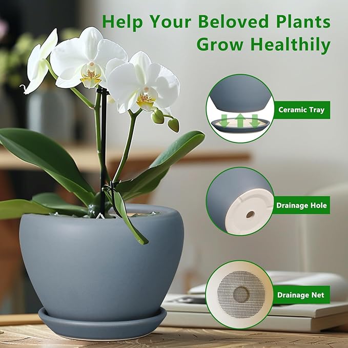 Ceramic Pot for Plants - 8 Inch Plant Pot Indoor with Drainage Hole and Saucer Decorative Planter for Outdoor Plants Modern Flower Pot for Home Decor Garden Gray