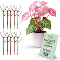 Stackable Plant Support Stakes, Indoor & Outdoor Houseplant Stem Support, Garden Accessories, Durable Trellis Alternative for Climbing & Potted Plants - Begonia Red, 10 Pack, 17" L