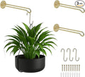 Ilyapa 3 Pack Metal Wall Plant Hangers - 7.5 Inch Plant Hanger for Indoor - Rustic Brass Finish Hooks for Hanging Plants, Baskets, and Macrame - Indoor Hangers for Plants, Lanterns or Wind Chimes
