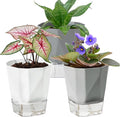 3 Pack Self Watering Planter Pots, 4.9 Inch African Violet Pots for Indoor Outdoor Windowsill Gardens, Plant Pot with Wick Rope and Reservoir