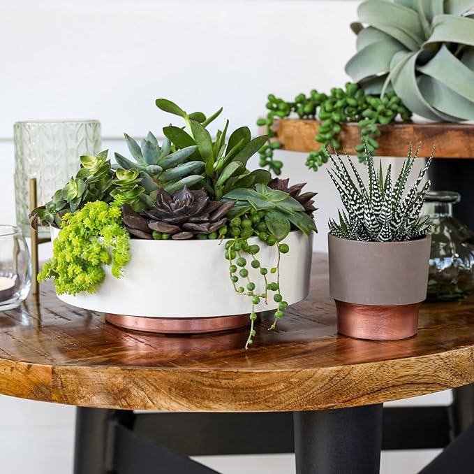 The HC Companies 8 Inch Round Plastic Succulent Capri Bowl 8"x8"x3" in Artisan Taupe with Copper Bottom Color