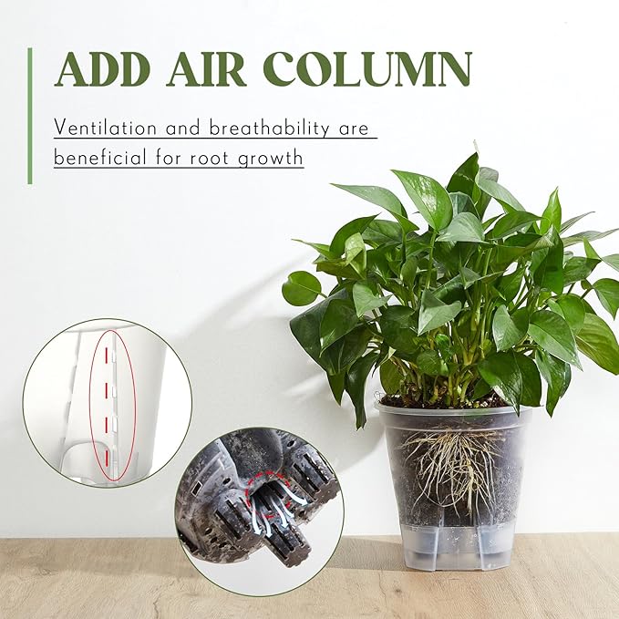 Self Watering Pots for Indoor Plants with Deep Reservoir and High Drainage Holes for Outdoor Plants and Flowers, Bare Root Planter (4.72'',Clear,12 Pcs)