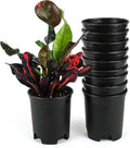 4 Inch Nursery Pot Plastic Planters for Outdoor Indoor Plants Gardening Flower Pots 10-Pack 0.25 Gallon Pot Liners with Drainage Holes