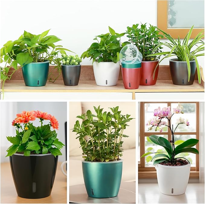 8-Pack 5 Inch Self Watering Pots, Indoor Planter with Indicator, Transparent Wick Pot for Orchids, Small African Violet Pot, for Plants