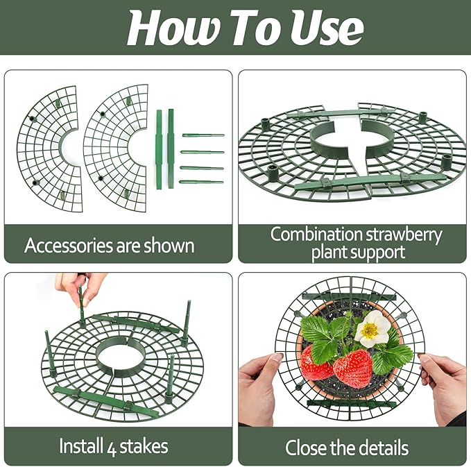 6 Sets Strawberry Plant Support with Mesh Plant Cover,Strawberry Growing Racks Sets with Iron Plant Nails and Storage Bag for Garden Strawberry Vegetables(Green Net - Round)