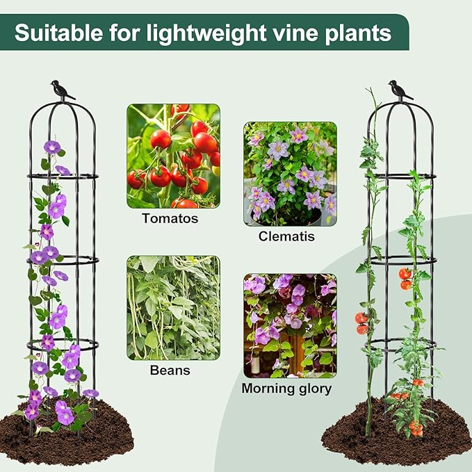 Garden Trellis for Climbing Plant Outdoor, 67" Tall Cucumber Trellis for Pot Raised Bed Climbing Vine Plants Vegetable Pea Bean Tomato Rose Clematis Cucumber Trellis, 2 Pack