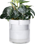 Phoenix Vine 10 Inch Self Watering Planter, White Terracotta Clay Pot with Glass Reservoir for Indoor Plants, Herbs, Flowers, Set of 1, 52-B-I-1