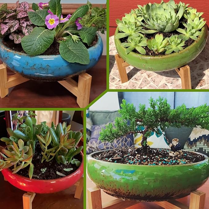 Large Succulent Pots with Drainage & Stand, 10 inch Ceramic Succulent Planter for indoor Plants plus Decorative Rock Stone Pebbles 2.2lb & Garden Tools Set, Perfect for Bonsai, Cactus Beginner