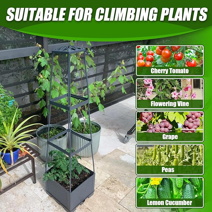 2 Packs Raised Garden Bed Tomato Planter Box with Trellis,56.8" Self-Watering Tomato Cage with Trapezoidal Trellis for Climbing Plants Flowers Vegetables Vine in Patio Garden Indoor Outdoor