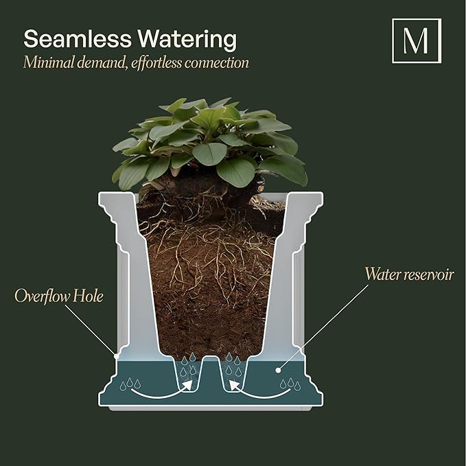 Mayne Nantucket 3-Foot Window Box – Self-Watering, Weather-Resistant Planter for Flowers – Durable Design for Outdoor Use, Perfect for Windows