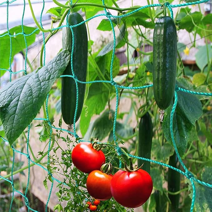 Trellis Netting for Climbing Plants - Heavy Duty Garden Trellis Netting for Cucumber, Vine, Fruits & Vegetables Tomato Plants Trellis Net, Climbing Vining Plants (2-Pack 3.3' x 6.6'Ft)