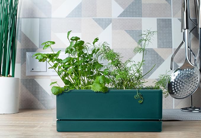 D'vine Dev 12 Inch Window Box Planter, Rectangle Plastic Herb Planter with Drainage Holes and Saucer, Indoor Succulent Cactus Vegetable Pot for Windowsill, Garden Balcony, Green, Set of 1, 76-X-C-1
