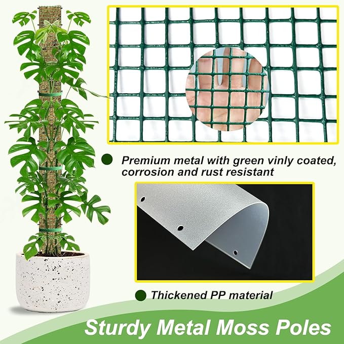 60" Metal Moss Pole, D Shape Sphagnum Moss Pole, Moss Poles for Climbing Plants, Monstera, Indoor Climbing Plants (6Pcs 60")