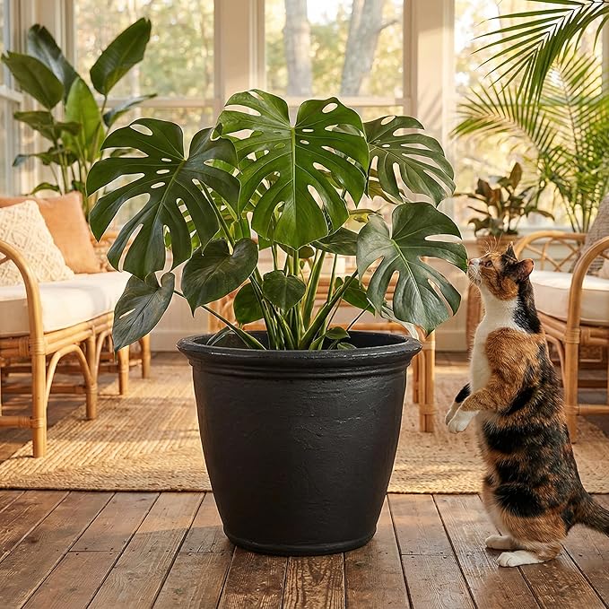 Sunnydaze 20-Inch Anjelica Large Plastic Pot for Plants - Outdoor Double-Walled Large Plastic Planter with Drillable Drainage Holes - Matte Black - 4pk