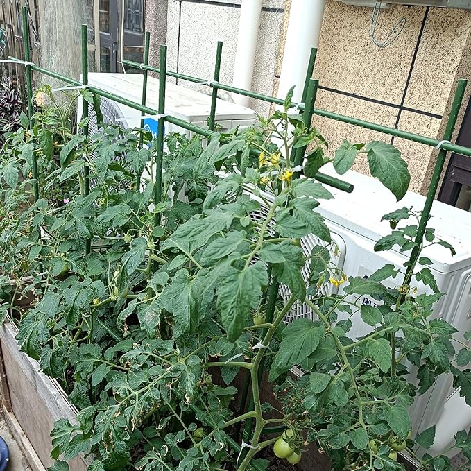 2Feet 24inch Garden Stakes Sturdy Plant Sticks Support Tomato Stakes for Vegetable,Pack of 20